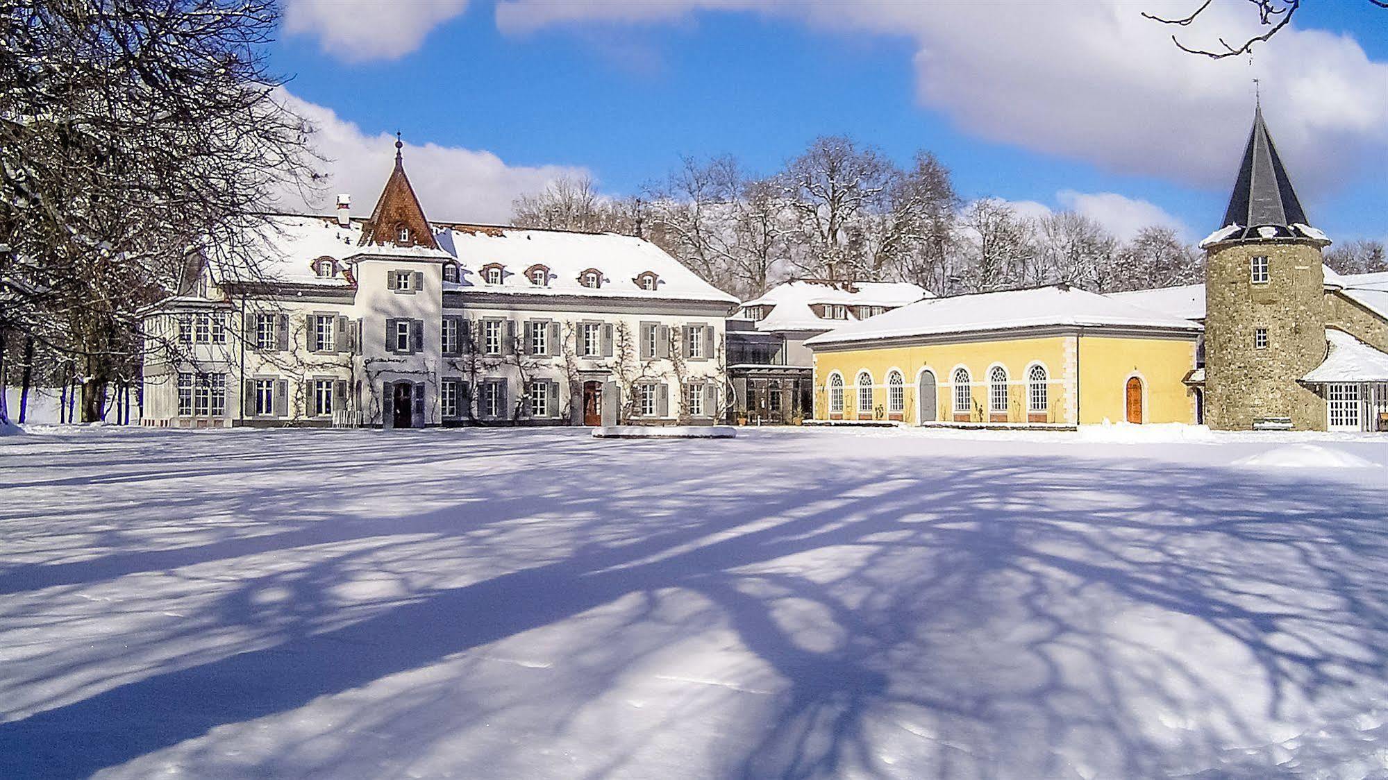 Chateau De Bossey Bogis-Bossey Exterior photo